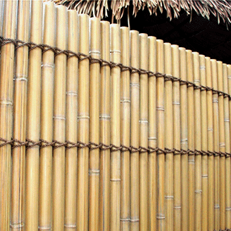 bamboo 竹
