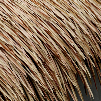 virothatch Bali